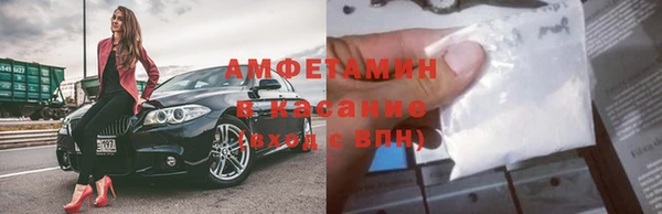 ПСИЛОЦИБИНОВЫЕ ГРИБЫ Абаза