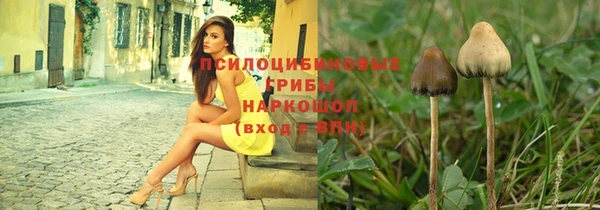 сатива Алексин