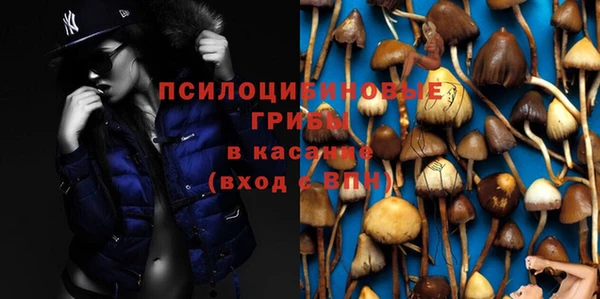 ПСИЛОЦИБИНОВЫЕ ГРИБЫ Абаза