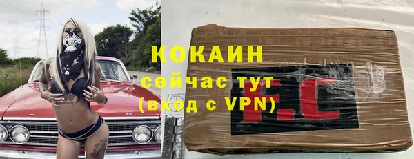 соль ск Алексеевка