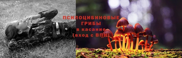 ПСИЛОЦИБИНОВЫЕ ГРИБЫ Абаза