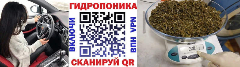 МАРИХУАНА конопля Сысерть